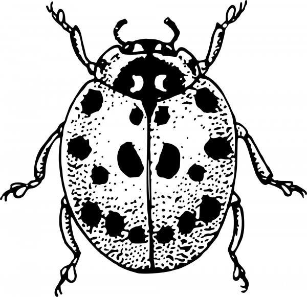 Vintage Ladybird coloring page image
