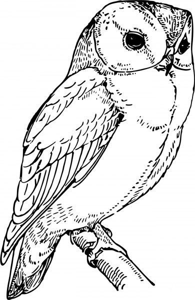 Vintage Laughing Owl coloring page image