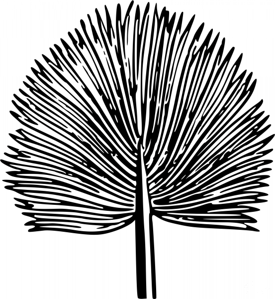 Vintage Leaf coloring page image