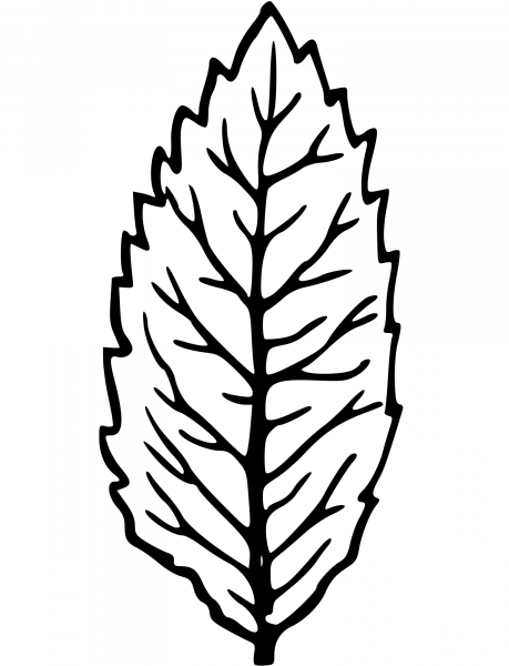 Vintage Leaf coloring page image