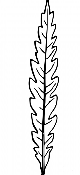 Vintage Leaf coloring page image