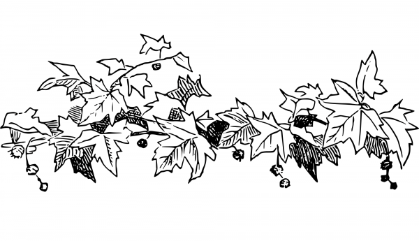 Vintage Leafy Design coloring page image