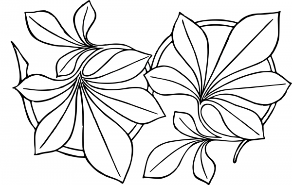 Vintage Leafy Design coloring page image