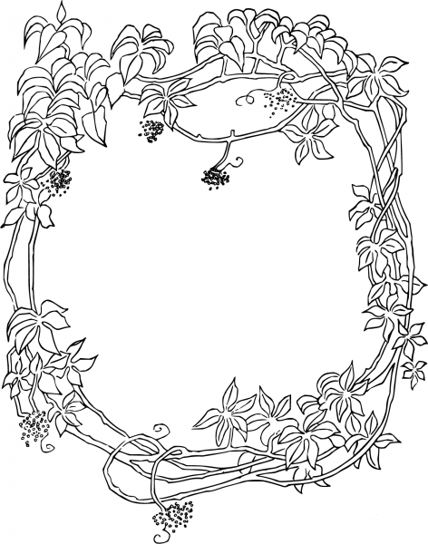 Vintage Leafy Frame Line Art coloring page image