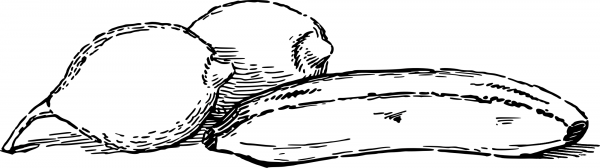 Vintage Lemon and Banana coloring page image