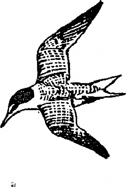 Vintage Lestern coloring page image