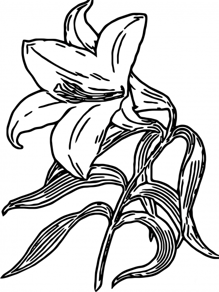 Vintage Lilly Flower Abstract Art Coloring Page coloring page image