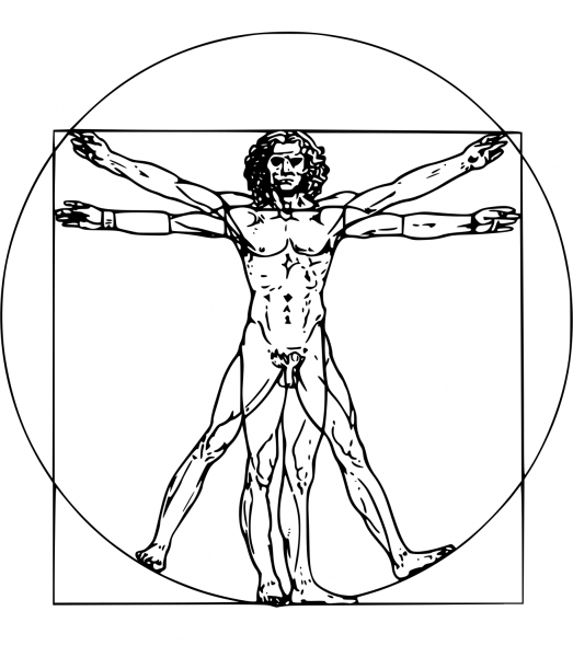 Vintage Luomo Vitruviano coloring page image