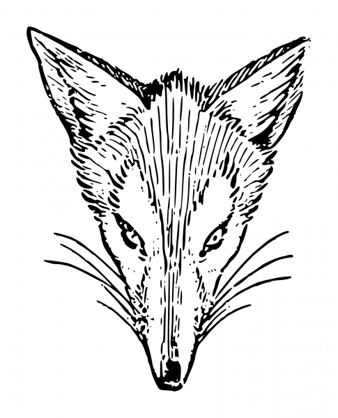 Vintage Lutz Brer Fox Outline coloring page image