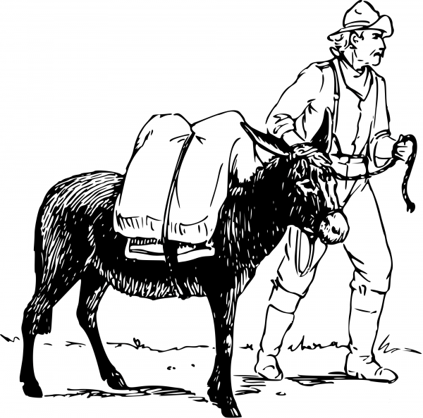 Vintage Man and Donkey coloring page image