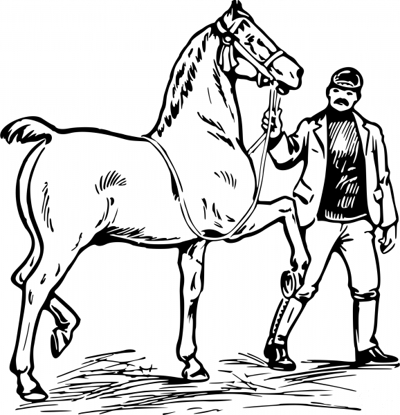 Vintage Man and Horse coloring page image