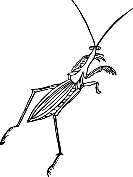 Vintage Mantis coloring page image