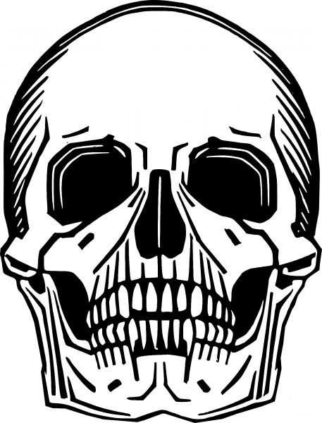 Vintage Memento Mori Skull coloring page image