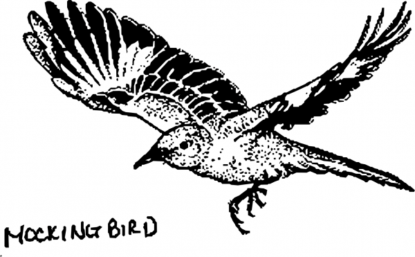 Vintage Mockingbird coloring page image