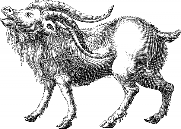 Vintage Mountain Goat coloring page image