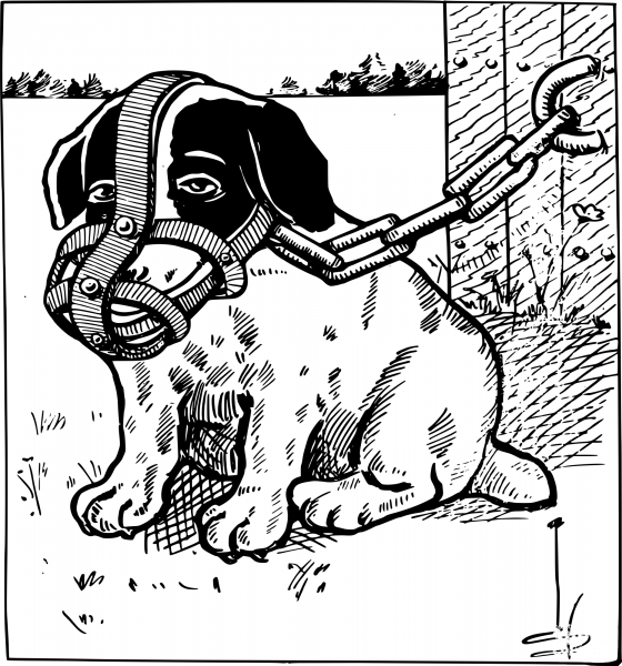 Vintage Muzzled Dog coloring page image