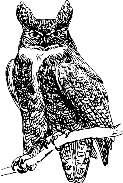 Vintage Owl coloring page image