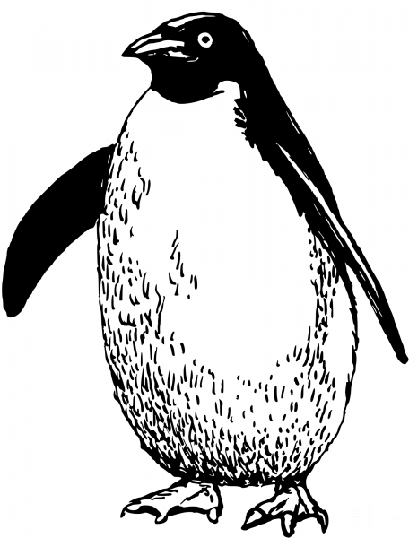Vintage Penguin coloring page image