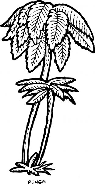 Vintage Punga Fern Trees coloring page image