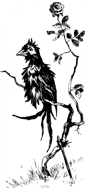 Vintage Ragged Bird coloring page image