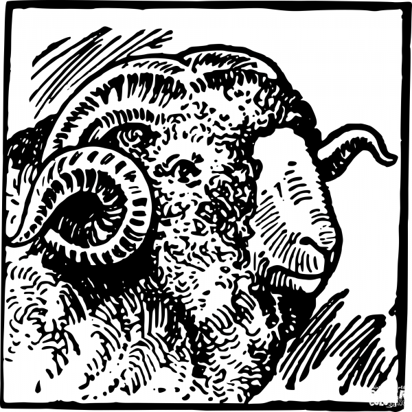 Vintage Ram Head coloring page image