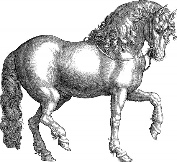 Vintage Robust Horse Line Art coloring page image
