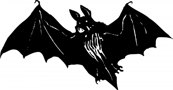 Vintage Scarey Bat coloring page image