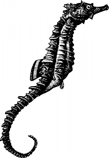 Vintage Seahorse coloring page image