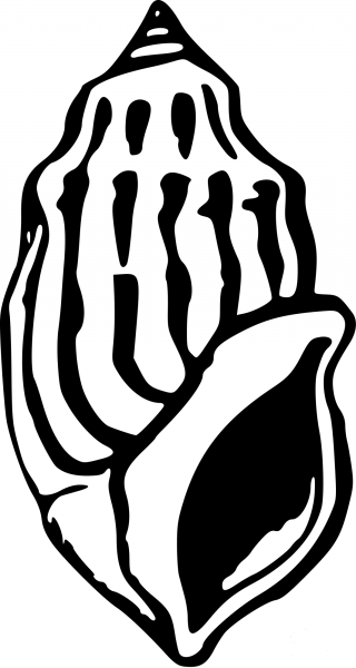 Vintage Seashell coloring page image