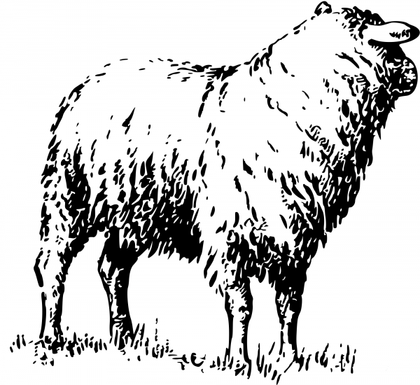 Vintage Sheep coloring page image