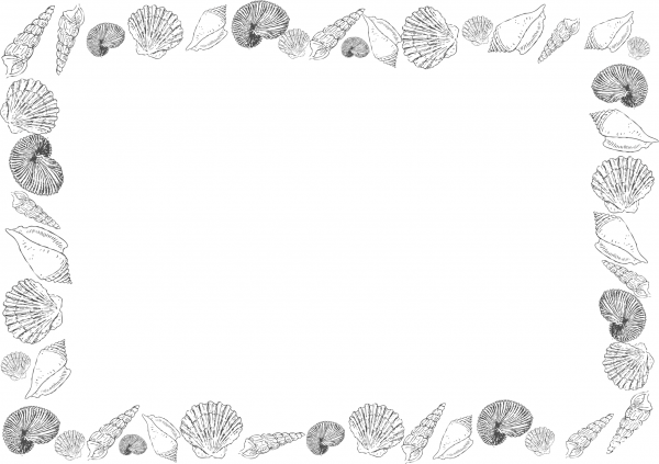 Vintage Shell Frame A4 coloring page image