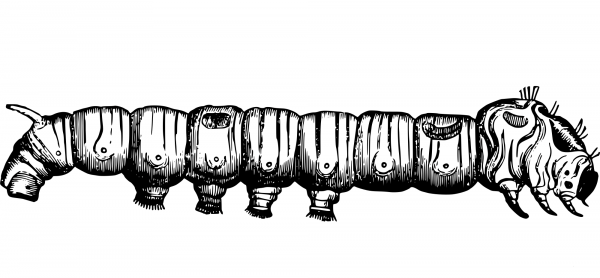 Vintage Silkworm coloring page image