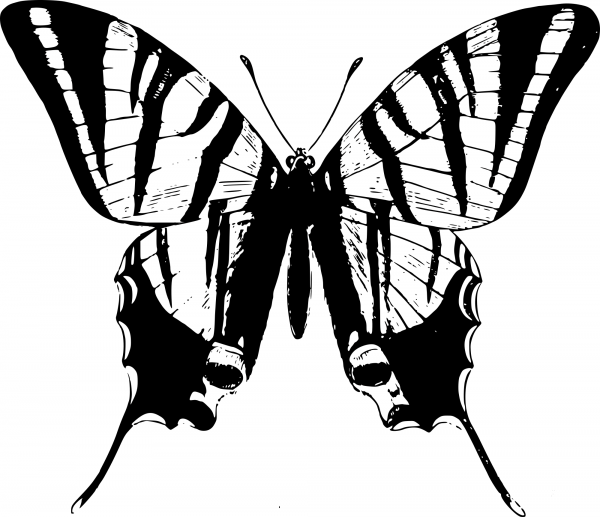 Vintage Simple Butterfly coloring page image
