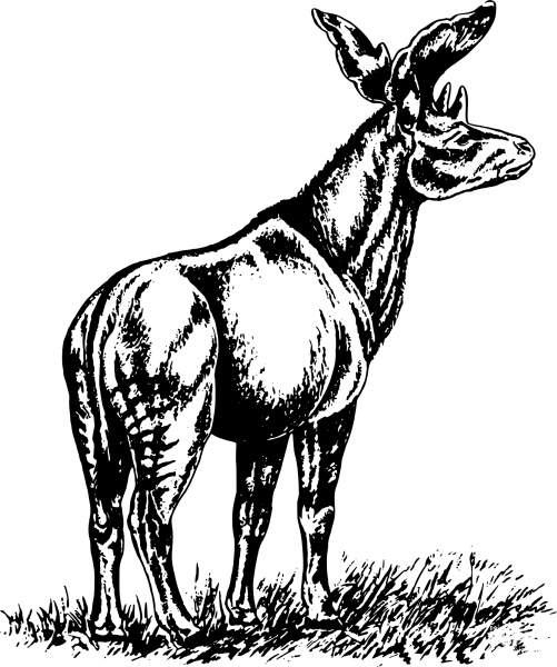 Vintage Sivatherium coloring page image