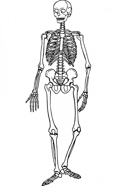 Vintage Skeleton coloring page image