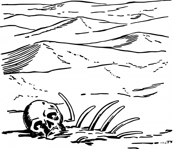 Vintage Skeleton in the Desert coloring page image