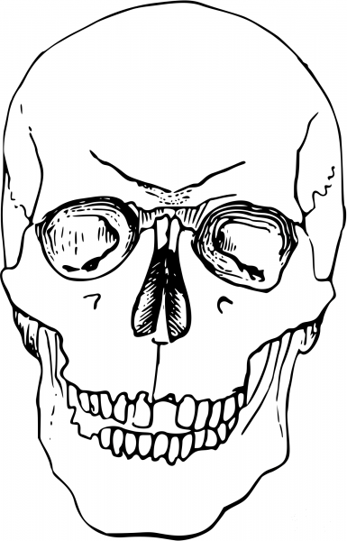 Vintage Skull coloring page image