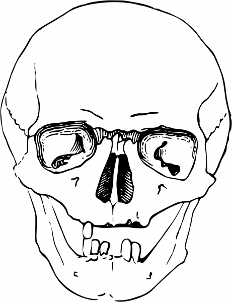 Vintage Skull coloring page image