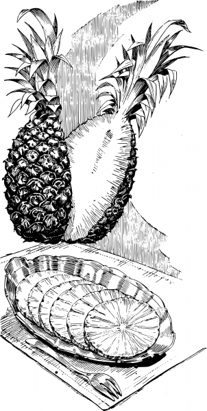 Vintage Sliced Pineapple coloring page image