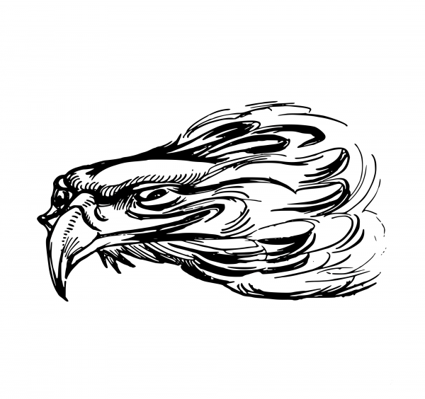 Vintage Smug Eagle Head coloring page image