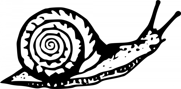 Vintage Snail coloring page image