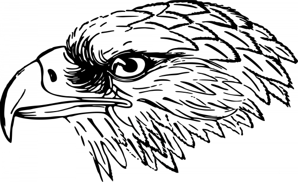 Vintage Snake Eagle coloring page image