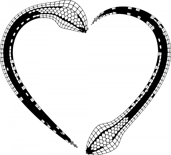 Vintage Snake Skin Frame coloring page image