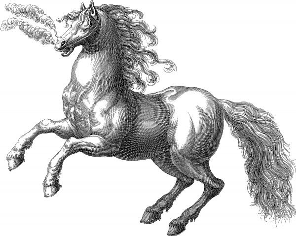 Vintage Snorting Horse coloring page image