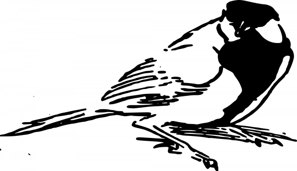 Vintage Sparrow coloring page image