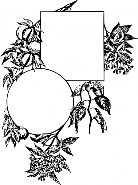 Vintage Spice Frame coloring page image