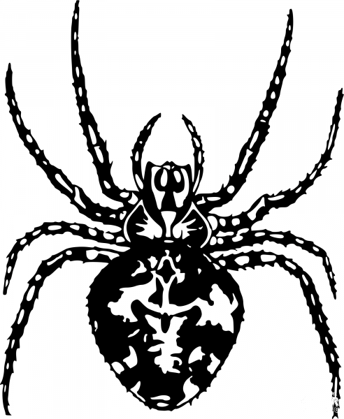 Vintage Spider coloring page image