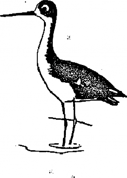 Vintage Stilt coloring page image