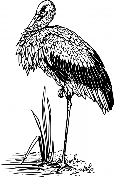 Vintage Stork coloring page image