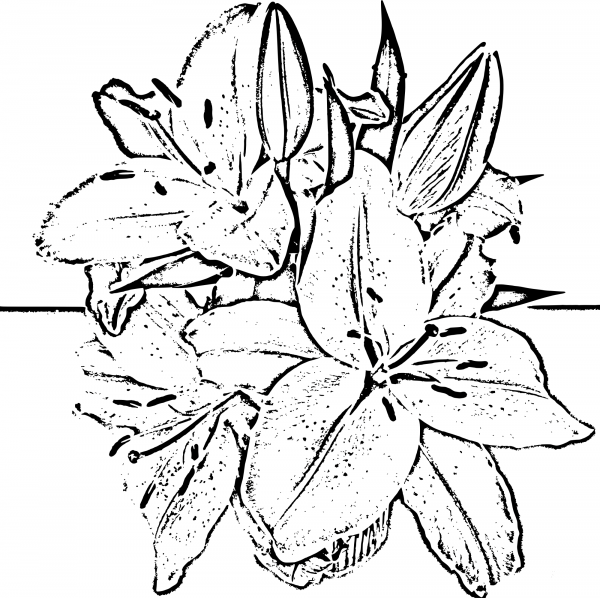 Vintage Street Flowers Woodcut coloring page image
